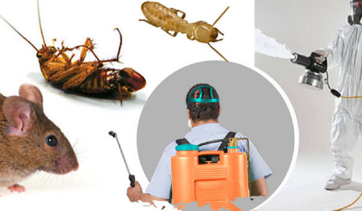 Pest And Rodent Control PT San Clean Jasa Karya